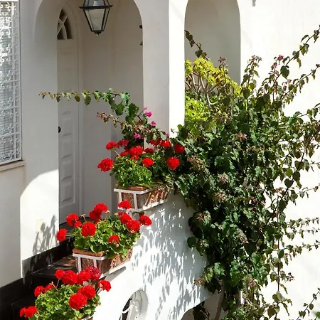 Bed & Breakfast Riolinciano14 B&B Anacapri (Isola di Capri)